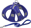 AIITLE Dog Harness, Summer No-Pull Cat Harness with a Leash, Adjustable Reflective Dog Vest, Cat Harness Escape Proof, Outdoor Walking, Camping for Extra Small Dogs and House Cats Royal Blue XXXS