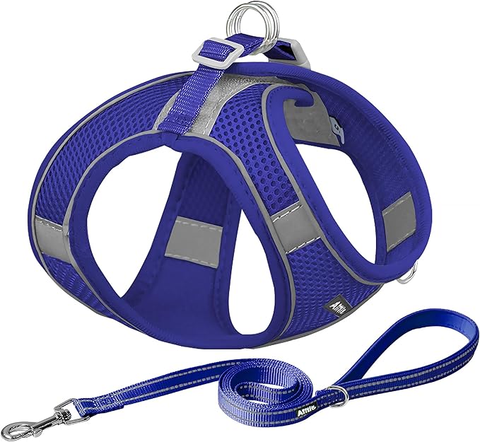 AIITLE Small Harness for Puppy with A Leash - Summer Dog Vest Harness with Super Breathable Mesh, Reflective No-Pull Pet Harness for Outdoor Walking, Camping for Small Dogs, Cats Royal Blue XXS
