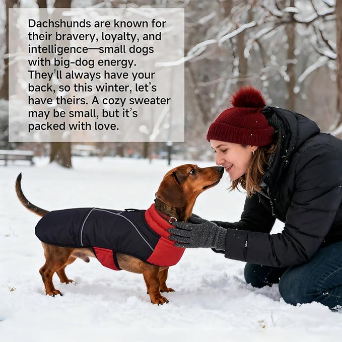 DORA BRIDAL Dachshund Coat, Fleece Lined Dog Winter Coat, Warm Dog Coats with Reflective Strips, Adjustable Waterproof Pet Jacket Clothes, S