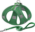 AIITLE Comfortable Dog Harness and Leash Set for Walking - Summer Step in Vest Harness,Reflective Bands, Adjustable No Pull Puppy Essentials, for Small Dogs and House Cats Green XS