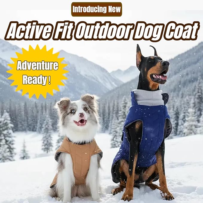 2-Layer Classic Quilted Warmth Dog Winter Coat, Waterproof Outdoor Coats for Small Dogs, Lightweight & Thick Puppy Jacket with Leash Hole, Turtleneck Pet Vest Clothes for Chihuahua Yorkie(Blue, XS)