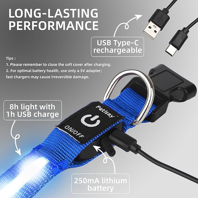 Super Bright LED Dog Collar - Fully Waterproof & Adjustable Glow Collar - USB-C Rechargeable for Night Walking, Safety - Flashing Lighted Collar for Dogs(Blue,Medium)