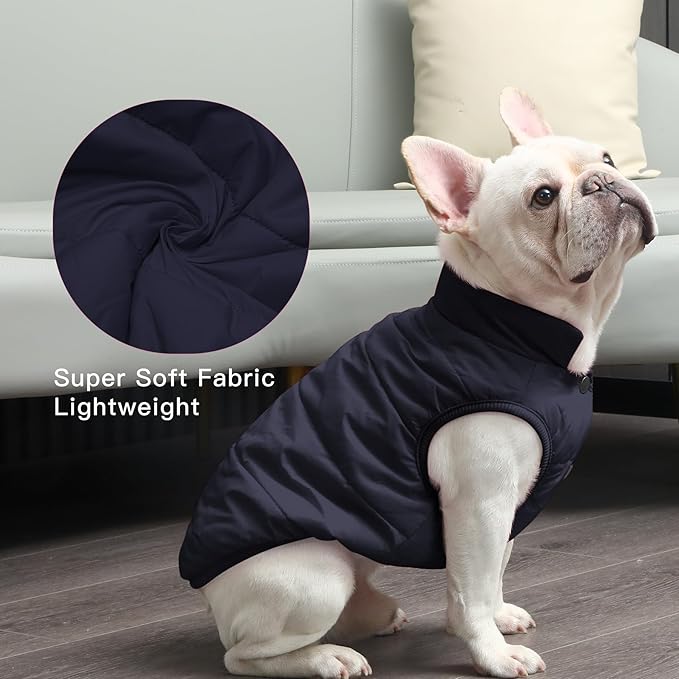2 Layers Fleece Lined Warm Dog Jacket for Winter Cold Weather,Soft Windproof Medium Dog Coat,Blue L