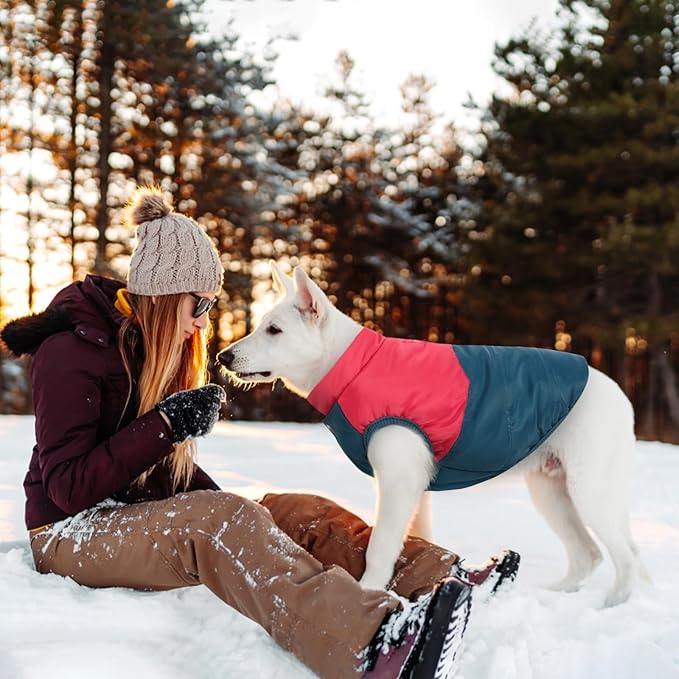 ASENKU Dog Winter Coat - Waterproof Windproof Dog Jacket, Warm Snowproof Doggie Puffer Vest for Cold Weather, Lightweight Snow Coats for Small Medium Large Dogs (Red&Navy, S)