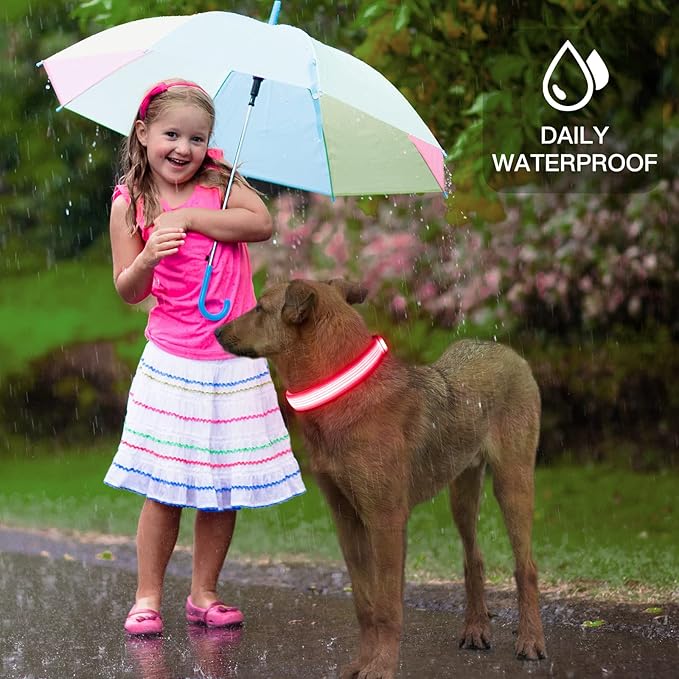 YFbrite Light up Dog Collar, USB Rechargeable LED Puppy Collar Super Bright Adjustable Glowing Dog Lights for Night Walking (Design 2- Pink, Small)