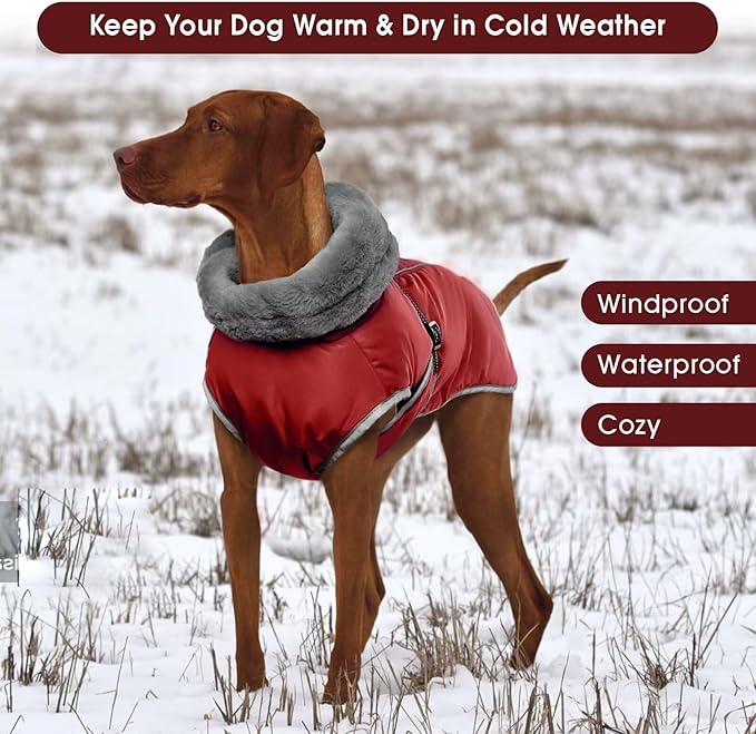 Warm Dog Coat Reflective Jacket,Size S Waterproof Winter Coat Turtleneck Dog Clothes for Cold Weather,Thick Fleece Snowsuit Christmas Vest for Small Dogs,Thermal Cold Weather Coats,Red,S