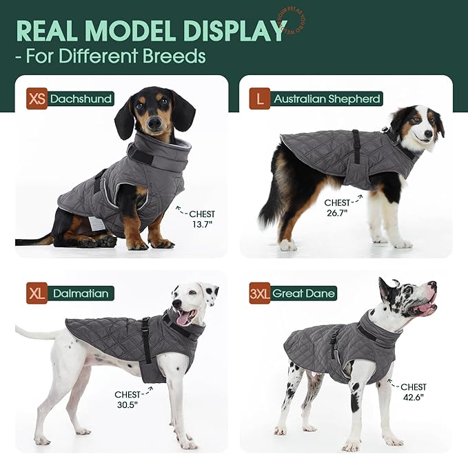 Kuoser Dog Coat Warm Fleece Lining Turtleneck Dog Jacket with Harness Built-in, Adjustable Windproof Cold Weather Coats with Quick Release Buckle Pet Winter Snowsuit for Small Medium Dogs, Grey M
