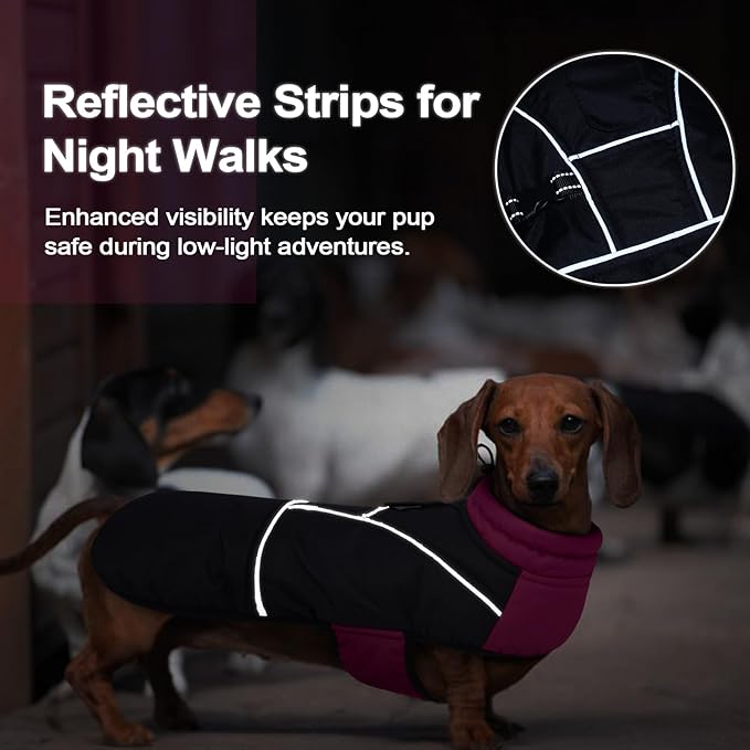 Lelepet Dachshund Coat Warm Dog Winter Coat Waterproof Dog Jacket with Fleece Lining, Reflective Outdoor Dachshund Snowsuit with Leash Hole Adjustable Neckline,Coats for Small Medium Dogs,Purple, M