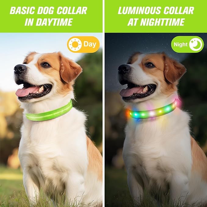 LED Dog Collar, Light Up Dog Collar, USB Rechargeable - Brightest Dog Lights for Night Walking, 6 Light Modes, Adjustable for Dog Safety(Small, Neon Green)