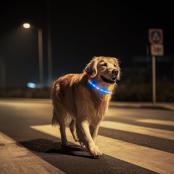 LED Dog Collar, Light Up Dog Collar, USB Rechargeable - Brightest Dog Lights for Night Walking, 6 Light Modes, Adjustable for Dog Safety(Medium, Royal Blue)