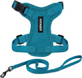 Voyager Step-in Lock Adjustable Cat Harness w. Cat Leash Combo Set with Neoprene Handle 5ft - Supports Small, Medium and Large Breed Cats by Best Pet Supplies - Turquoise, XS