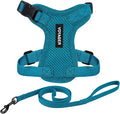 Voyager Step-in Lock Adjustable Cat Harness w. Cat Leash Combo Set with Neoprene Handle 5ft - Supports Small, Medium and Large Breed Cats by Best Pet Supplies - Turquoise, XXS