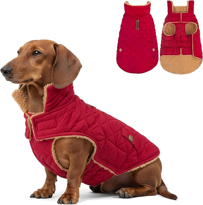 azuza Dog Jacket Waterproof & Windproof Dog Coat for Small Dogs with Thick Fleece, High Collar with Leash Hole, Adjustable Velcro & Elastic Belly, Red, S