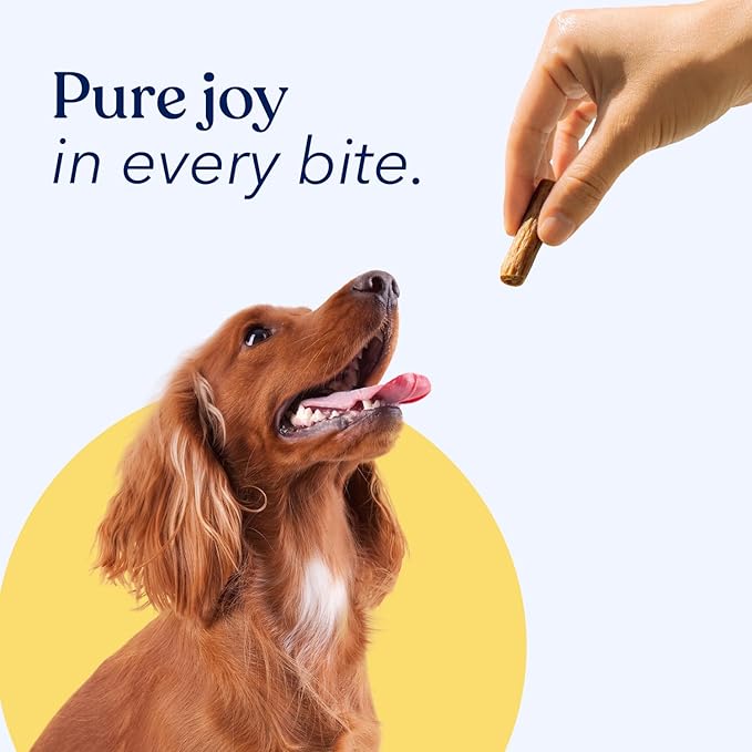 Honest Paws Dog Jerky Treats - All-Natural Jerky Dog Treats for Training Pets - Human Grade Sticks - Real USA Chicken