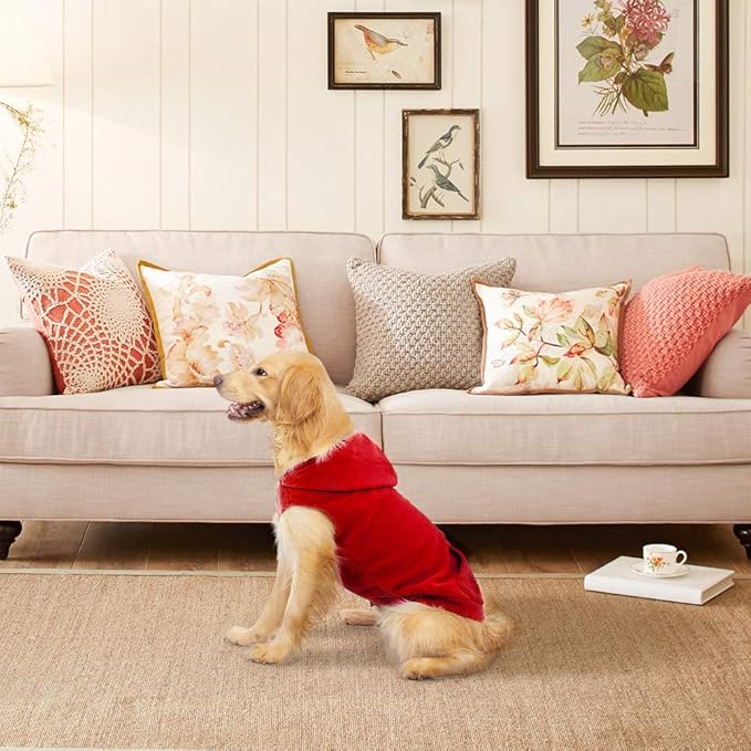 EXPAWLORER Dog Hoodie Fleece Sweater Vest, Hooded Dog Sweatshirt Fall Winter Pet Clothes with Leash Hole, Sleeveless Warm Cozy Puppy Clothing for Cat Small Medium Large Dogs Girl Boy, Red XXL