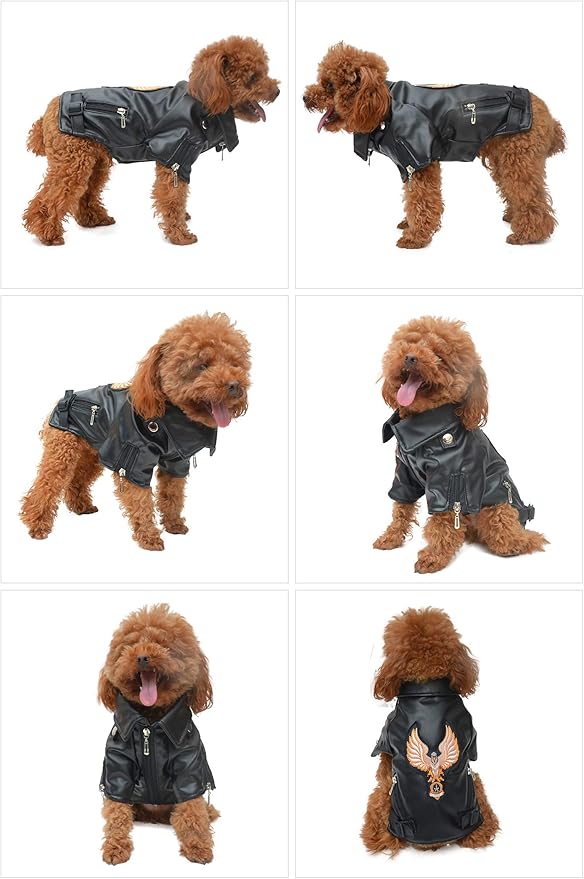 Lovelonglong Cool Dog Leather Jacket, Warm Coats Dogs Windproof Cold Weather Coats for Large Medium Small Dogs with Eagle Embroidery Black XL