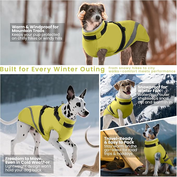 QBLEEV Dog Coat for Large Dogs, XL Dog Jacket for Winter Snow Waterproof with Built-in D-Ring Harness, Reflective Warm Thick Fleece Safety Vest, Cold Weather Snowsuit with Zip, Green, XL