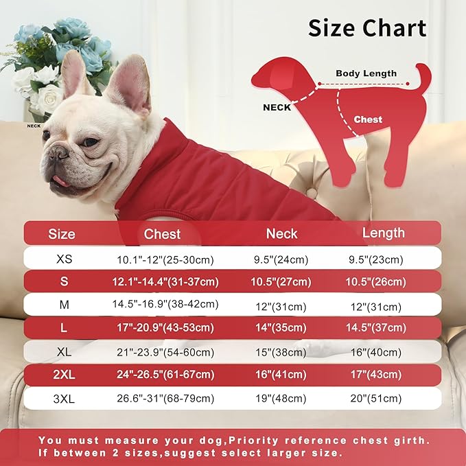 2 Layers Fleece Lined Warm Dog Jacket for Winter Cold Weather,Soft Windproof Medium Dog Coat,Red L