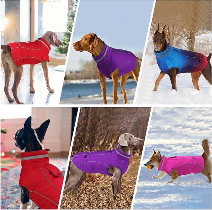 Doglay Dog Winter Coat, Waterproof Dog Jacket with Pocket, Reflective Turtleneck Pet Winter Jackets, Warm Puppy Snow Jacket for Small Medium Large Dogs