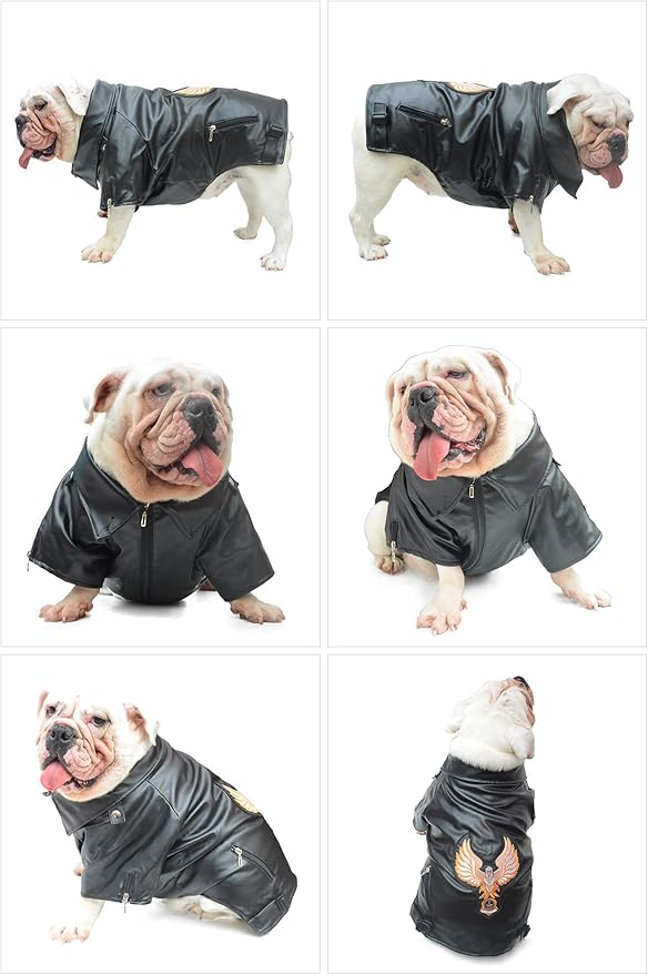 Lovelonglong Cool Dog Leather Jacket, Warm Coats Dogs Windproof Cold Weather Coats for Large Medium Small Dogs with Eagle Embroidery Black B-M