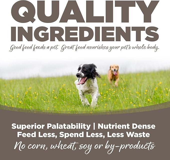 NutriSource Dry Dog Food for Seniors, Chicken and Rice, 4LB