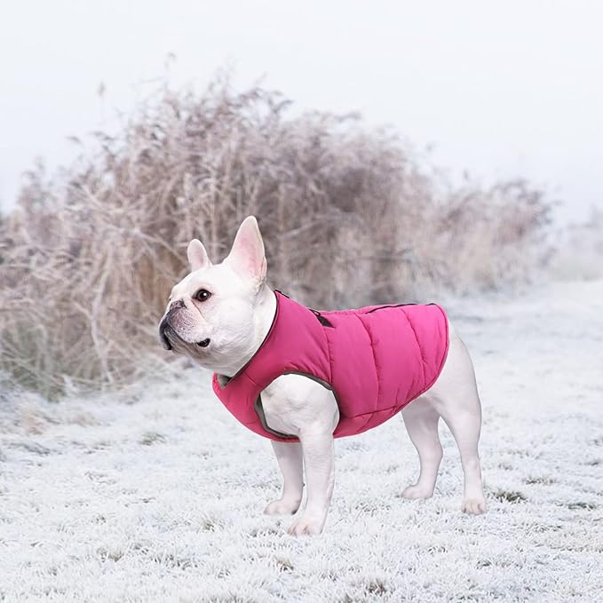 Dog Bulldog Clothes Dog Cotton Padded Coat Thick Winter Warm Vest Waistcoat Cold Weather Jacket Clothing for French Bulldog Coat-Pink-L