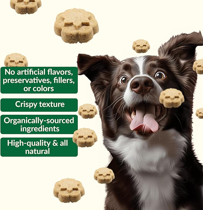Dig Defence Premium Dog Treats - Carrot and Peanut Butter, Natural Ingredients, Baked Gourmet Snacks for Small & Big Dogs, Healthy Training Treat, 2 Pack