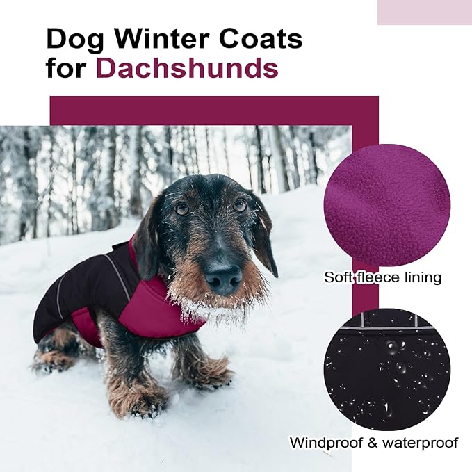 Lelepet Dachshund Coat Warm Dog Winter Coat Waterproof Dog Jacket with Fleece Lining, Reflective Outdoor Dachshund Snowsuit with Leash Hole Adjustable Neckline,Coats for Small Medium Dogs,Purple, M