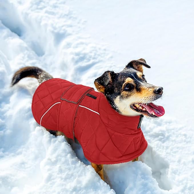 Kuoser Extra Warm Dog Jacket for Medium Dogs, Fleece Lined Dog Turtleneck Snow Suits, Windproof & Reflective Pet Winter Coat Cold Weater Clothes for Dogs, Red M