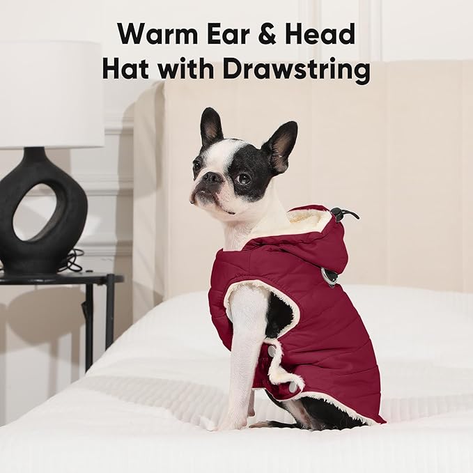 Fleece Lining Dog Hoodie with Harness Built in,Extra Warm Small Dog Jacket in Winter Puppy Coats with Drawstring Hooded,Red M
