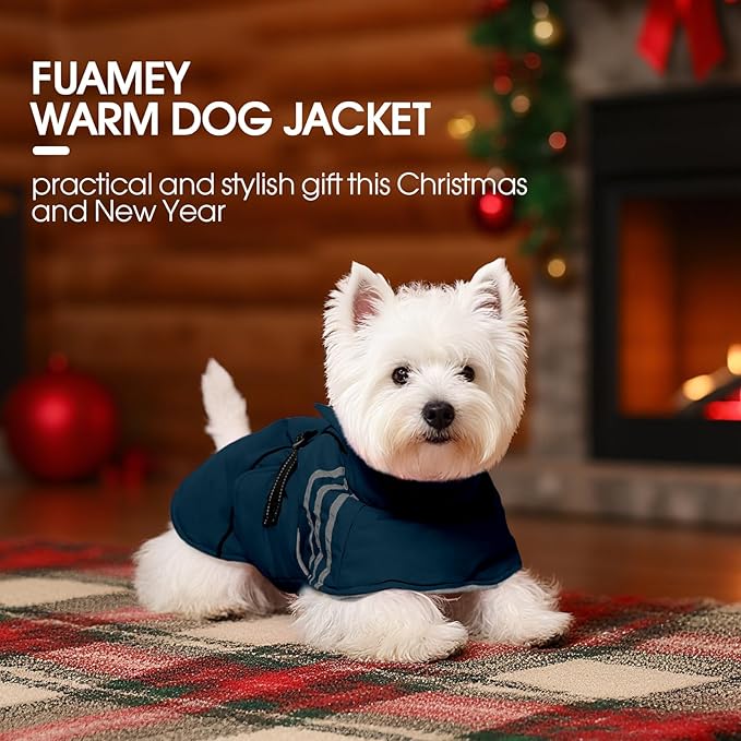 FUAMEY Dog Cold Weather Coats,Dog Winter Jackets for Small Dogs Warm Dogs Coat with Reflective Strips Waterproof Pet Snowsuit Thick Paded Pets Vest for Yorkshire Chihuahua Blue S
