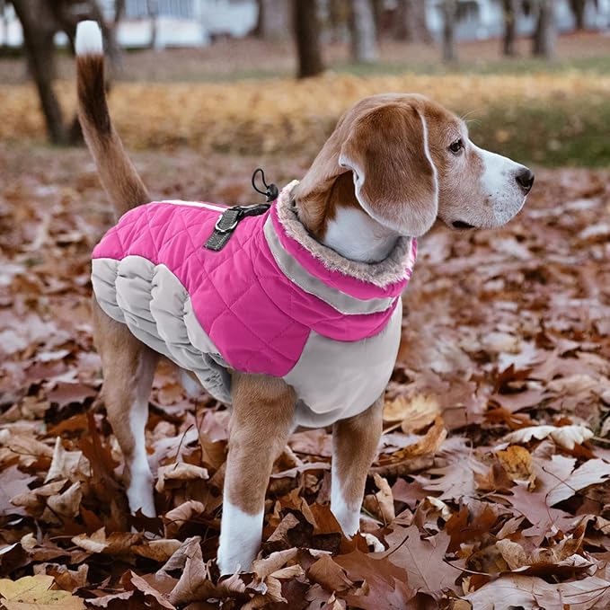 Lelepet Dog Coat Warm Dog Winter Coat Waterproof Dogs Jacket with Harness Built in Reflective Pet Fleece Vest Zip-Up Cold Weather Coats for Medium Dogs Turtleneck & Windproof Coats Dachshund Rose Red