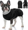 Queenmore Winter Dog Coat Warm Dog Jacket Vest Waterproof Puffer Fleece Snowsuit Adjustable Buckle Leash Hole Reflective Cold Weather Parka for Small Medium Large Dogs Girl Boy Black S