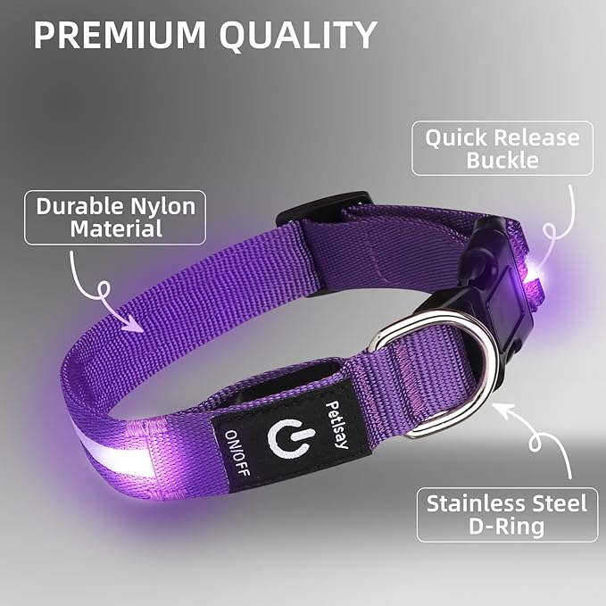 Super Bright LED Dog Collar - Fully Waterproof & Adjustable Glow Collar - USB-C Rechargeable for Night Walking, Safety - Flashing Lighted Collar for Dogs(Purple,Small)