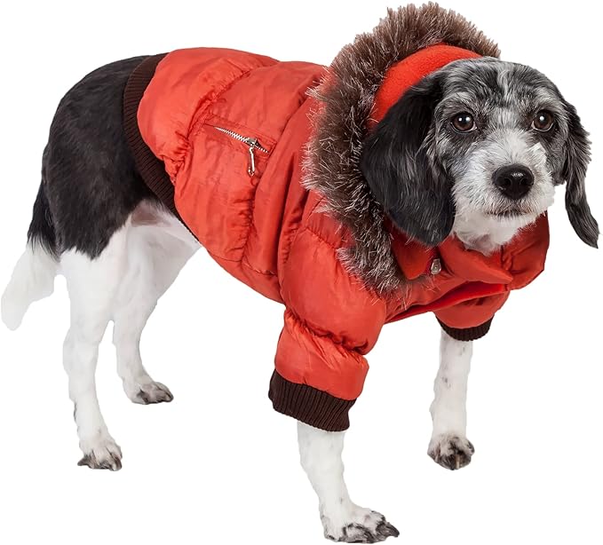 PET LIFE Classic Metallic Fashion Pet Dog Coat Jacket Parka w/ 3M Insulation and Removable Hood, Medium, Metallic Orange