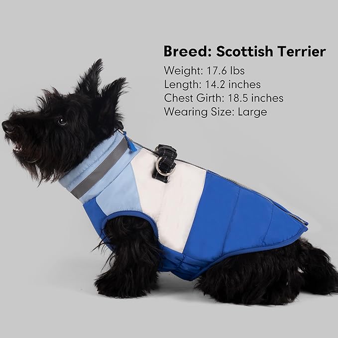 azuza Dog Coat Waterproof Winter Coat for Small Dogs, Warm Fleece Vest with Reflective Strips & Built-in Harness, Windproof Back Zipper, Blue S