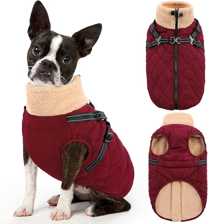 Queenmore Dog Jackets for Large Dogs, Dog Coat with Harness Built-in, Thick Fleece Lining Waterproof Jacket for Large Breeds, Back Zipper Pet Winter Jacket for Retriever, Labrador, Burgundy XL