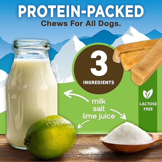 EcoKind Premium Gold Yak Cheese Himalayan Dog Chews, Dog Treats Large Breed, All Natural, High Protein Dog Chew, Cheese, Large - 18+ Chews