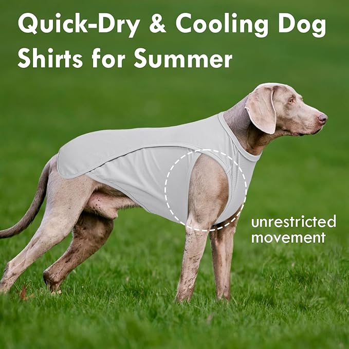 2 Pack Dog T-Shirts for Large Dogs, Quick Dry Cooling Vest, Summer UV Protection UPF50+ Shirt for Dogs Outdoor Hiking, Beach Trip, Travel, Blue+Grey, 2XL