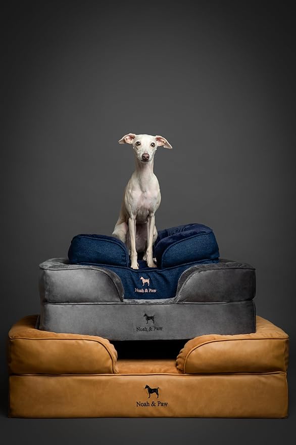 NOAH & PAW Small Dog Bed, 20x15x8 Inch, Cat Bed for Indoor Cats, Orthopedic Eggshell Memory Foam Infused with Cooling Gel, Waterproof Inner Cover Machine Washable (Velvet Collection)