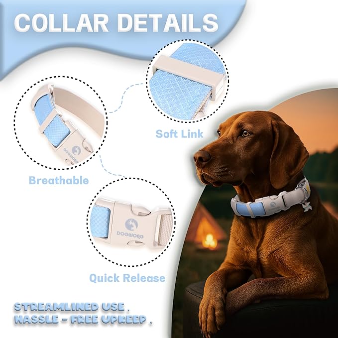 DOGWONG LED Dog Collar - Heavy Duty Light up Collars - Rechargeable Waterproof - Lighted Dog Collar for Night Walking, Hiking, Camping(Blue,M)