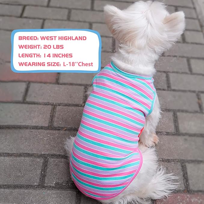 KYEESE 2Pack Dog Shirts Small Tee Soft for Small Dogs Striped T Shirt Lightweight Sleeveless Vest Cotton Tank Top Clothes, Large,Purple+Orange Striped