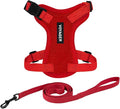 Voyager Step-in Lock Adjustable Cat Harness w. Cat Leash Combo Set with Neoprene Handle 5ft - Supports Small, Medium and Large Breed Cats by Best Pet Supplies - Red, XXS