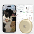 Molly&Cody GPS + Bluetooth Pet Tracker for Cats & Dogs – Real‑Time Tracking, Virtual Fence, IP67 Waterproof, Up to 60‑Day Battery, Health Monitoring, iOS/Android – 3‑Month Subscription Included (Gold)