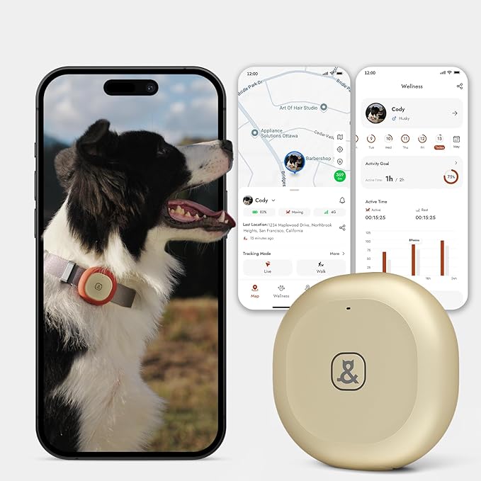Molly&Cody GPS + Bluetooth Pet Tracker for Cats & Dogs – Real‑Time Tracking, Virtual Fence, IP67 Waterproof, Up to 60‑Day Battery, Health Monitoring, iOS/Android – 3‑Month Subscription Included (Gold)