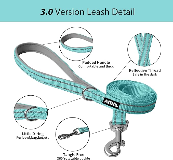 AIITLE Easy Walk Dog Harness and Leash Set - Pet Supply No Pull, Step in Adjustable Pet Harnesses with Padded Vest for Summer, No Choke Over, Easy to Put on Medium Dogs Pure Turquoise L