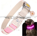 DOGWONG LED Dog Collar - Heavy Duty Light up Collars - Rechargeable Waterproof - Lighted Dog Collar for Night Walking, Hiking, Camping(Pink,M)