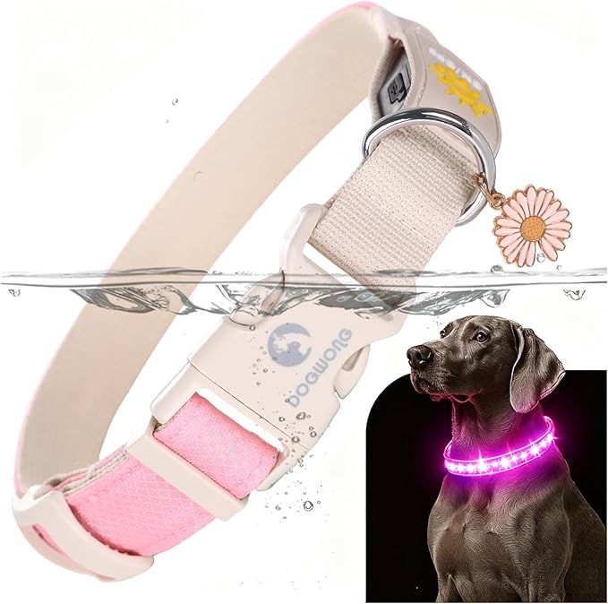 DOGWONG LED Dog Collar - Heavy Duty Light up Collars - Rechargeable Waterproof - Lighted Dog Collar for Night Walking, Hiking, Camping(Pink,S)