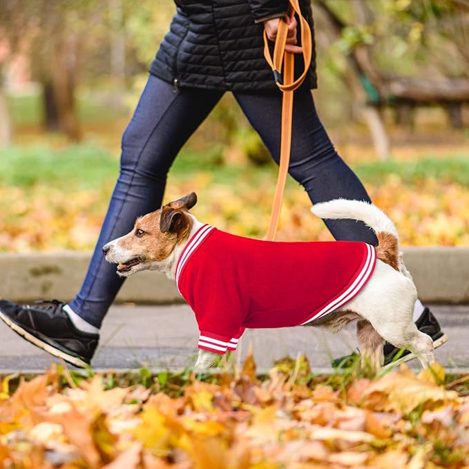 Dog Sweaters for Small Dogs, Brushed Fleece Dog Sweater Baseball Jacket Pet Clothes Soft Warm Sweatshirt Puppy Sweater Boy Girl Pet(Red-S)