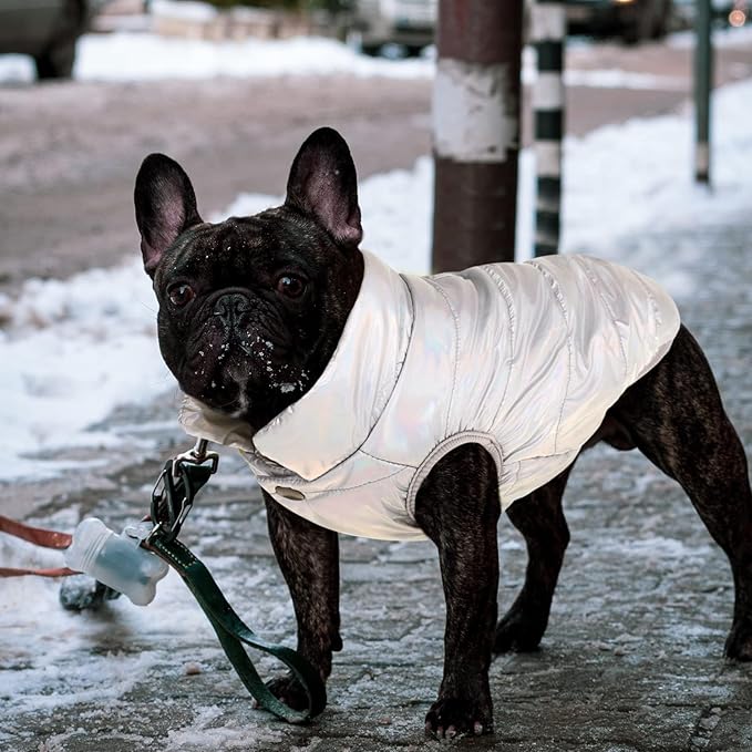 ASENKU Dog Winter Coat - Waterproof Windproof Dog Jacket, Warm Snowproof Doggie Puffer Vest for Cold Weather, Lightweight Snow Coats for Small Medium Large Dogs (Silver, 2XL)